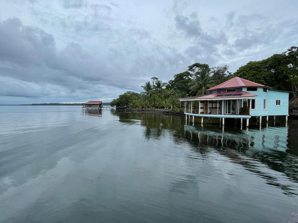 Dolphin Blue Paradise Bocas del Toro Eksteriør bilde