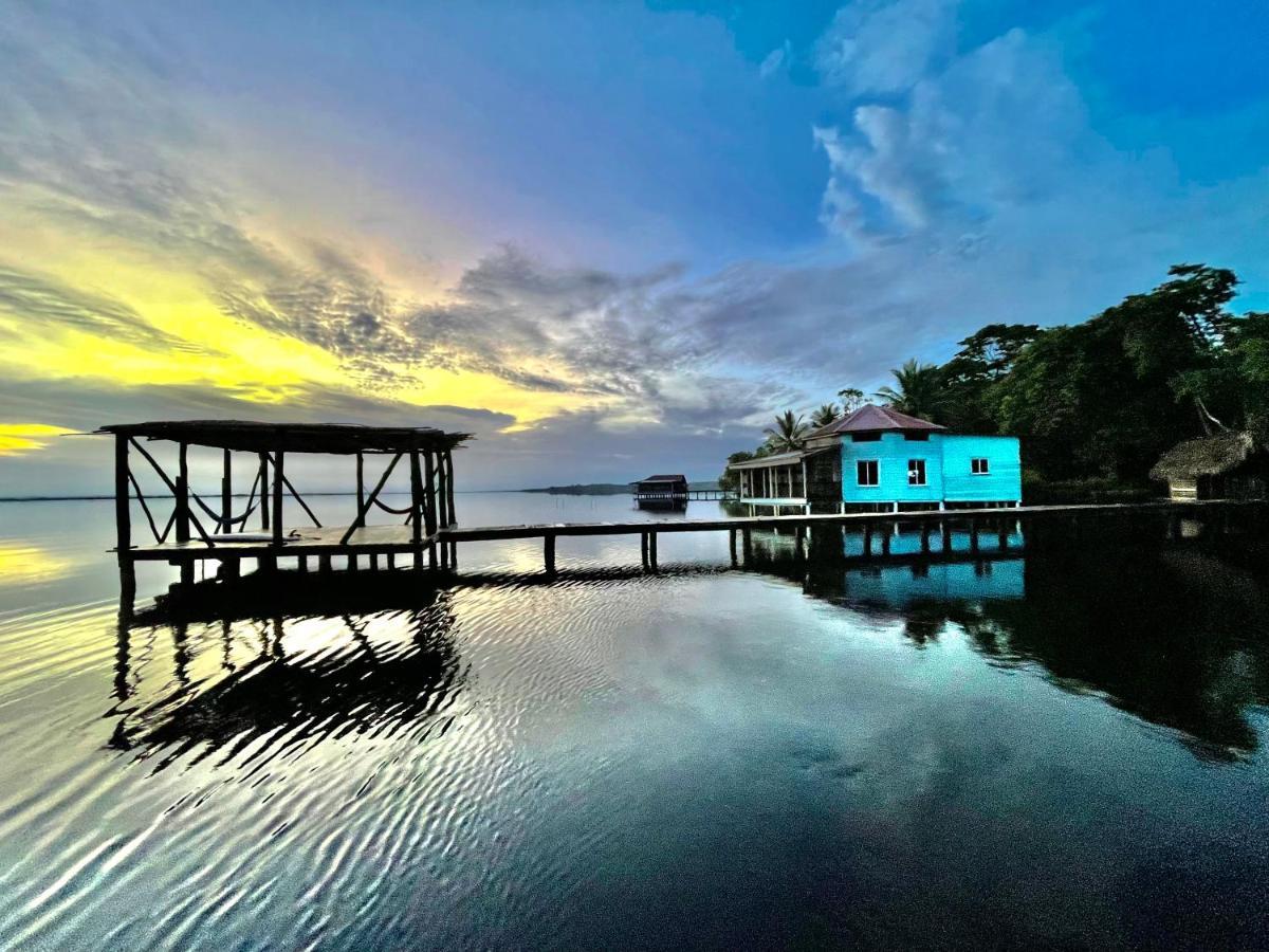 Dolphin Blue Paradise Bocas del Toro Eksteriør bilde