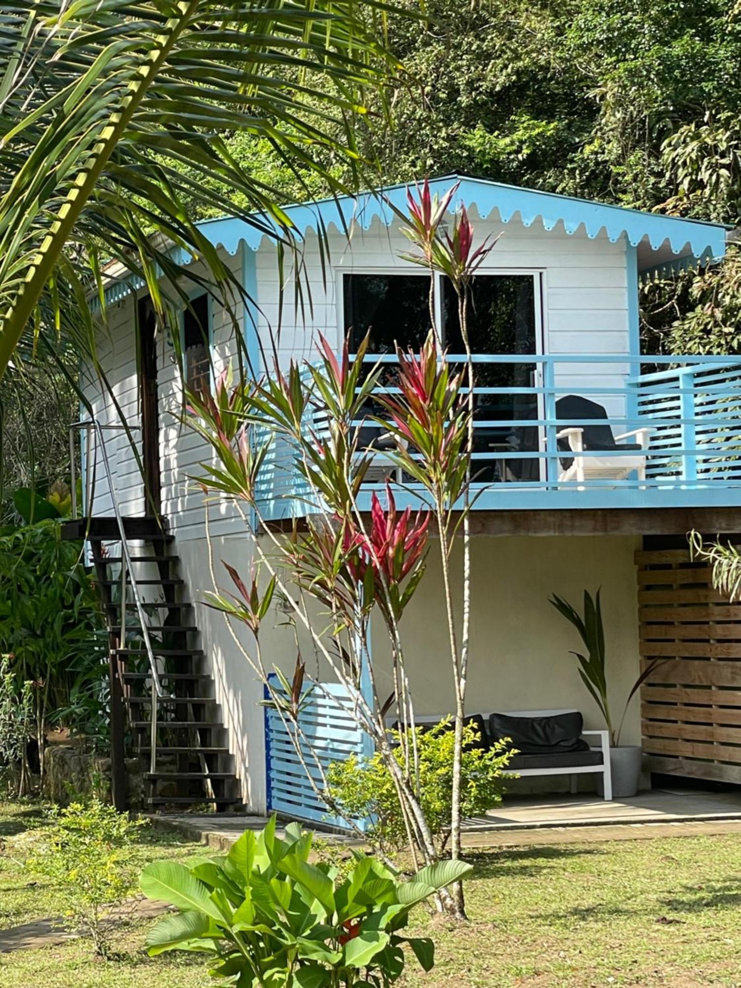 Dolphin Blue Paradise Bocas del Toro Eksteriør bilde